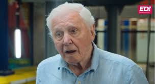 We have lift off. A Curlew