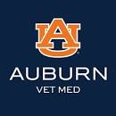 Neurology and Neurosurgery Services | Learn about Auburn ...