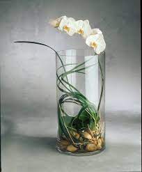 posts from december 2011 on field of flowers orchideen im glas orchideen im wasser weisse orchideen