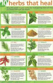 A Better Upload Of A Previous Post Healing Herbs Herbs Natural Health Remedies
