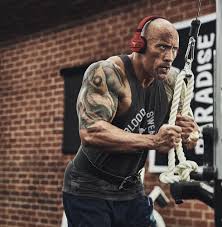 Maybe you would like to learn more about one of these? 13 Best The Rock Logo Ideas The Rock Logo The Rock The Rock Dwayne Johnson