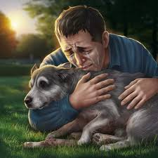 cherished moments of love captured