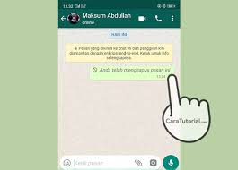 Sudah melakukan poin pertama tapi tetap tak bisa mendapatkan salinan pesan yang kamu cari? Cara Hapus Pesan Whatsapp Yang Sudah Terkirim Salah Kirim Cara Tutorial Terbaru