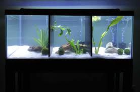 26 model aquarium ikan hias minimalis terbaru 2020 dekor rumah. 7 Desain Aquarium Minimalis Hunian Jadi Tampak Mewah