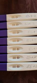 Ovulationstests sind eigentlich dafür gedacht festzustellen, wann der eisprung ist. Ovu Orakel Babyforum At