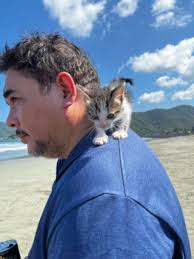 Taxi di San Mateo dengan Harga Terbaik di PetBacker