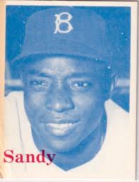 Number 5 Type Collection: 2022