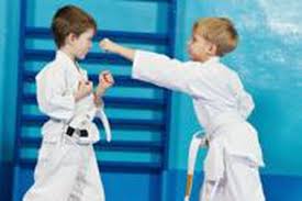 Vous souhaitez appendre à combattre pour vous défendre ? Pour Les Timides