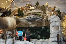 The Giant Fish Tank And Wildlife On Display At Cabela S Near Charlotte Nc Giant Fish Fish Tank Wildlife