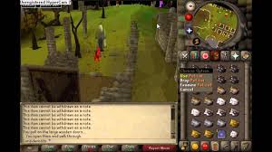 You can't find it, but you can go back to the lady you bought it and buy another one. Selling Runescape Cats Youtube