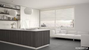 A wooden kitchen design is useful to anyone desirous of either traditional or contemporary interior. Modern White Gray And Wooden Kitchen With Shelves And Cabinets Sofa And Panoramic Window Contemporary Living Room Minimalist Architecture Interior Design Stock Illustration Adobe Stock