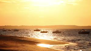 Maybe you would like to learn more about one of these? Beach Sunset Background 1080p Stock Footage Video 100 Royalty Free 4638893 Shutterstock