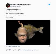 Мем про рыбок