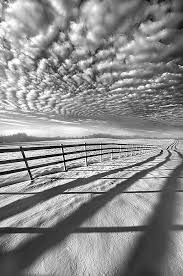 Black And White Fashion Photography Landscape Always Whiter On The Other Side Of The Fence By Phil Koch Black White Landscape White Photography Landscape Photography