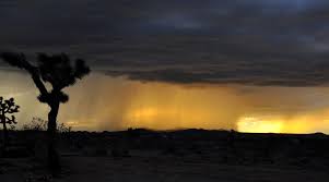 Water falling to earth in drops: Rain Wikipedia