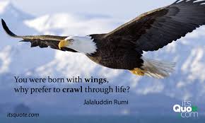 Born Wings Crawl Life Quotes Quote Sayings Itsquote Picture Taypography Rumi Rumi Quotes Rumi Jalaluddin Rumi