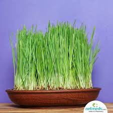 It is thought that onion juice's high sulfur content supports the structure of hair. 5 Impressive Benefits Of Wheatgrass Juice