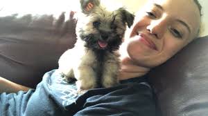 My boy likes his new home ❤️💕