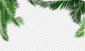 Kelapa hibrida, varietas baru unggul karena memiliki kelebihan sifat dari dua jenis kelapa yang berbeda yaitu jenis genjah dan jenis dalam. Daun Santan Euclidean Bahan Tekstur Daun Kelapa Sudut Rendah Daun Kelapa Di Bawah Langit Yang Menenangkan Tekstur Cat Air Daun Cabang Png Pngwing