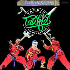 Perguruan seni beladiri indnesia tapak suci putera muhammadiyah. Seni Beladiri Seni Pencak Silat