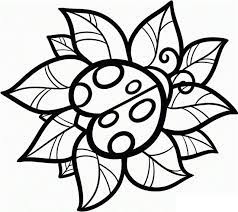 30 Exclusive Picture Of Ladybug Coloring Page Albanysinsanity Com Bug Coloring Pages Ladybug Coloring Page Insect Coloring Pages