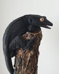 Melanistic Crested Gecko