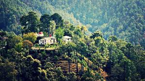 Surrounded By Wildlife Sanctuary Binsar Appears With The Most Beautiful Nature Scene Where No One Beautiful Nature Scenes Wildlife Sanctuary Beautiful Nature