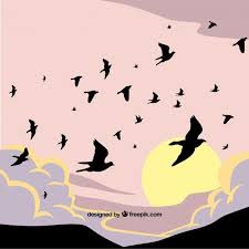 Pin By Susana Vaylet On Illustration Birds Flying Bird Illustration