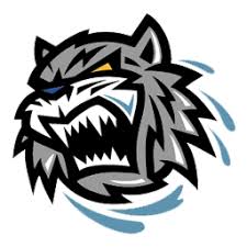 Kumpulan Logo Harimau Sports Logo Design Animal Logo Logos
