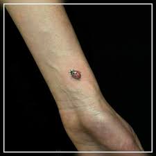The red that is associated with the ladybug symbolizes love, energy, heat, and passion which are also meanings of a open heart tattoo. 20 Realistic Ladybug Tattoo Ideas Tattoo Smalltattoo Tatuirovannye Modeli Izyashnye Tatuirovki Tatuirovki