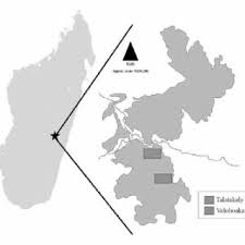 Pdf Determination De Quelques Aspects De L Ecologie De Daubentonia Madagascariensis Gmelin 1788 Dans Deux Forets Malgaches La Reserve Speciale De Manombo Sud Est Et La Foret De Beanka Centre Ouest De Madagascar