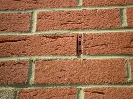 This is the simplest way to get bees to leave a hive that they have started in a home. Argh Bees Avforums