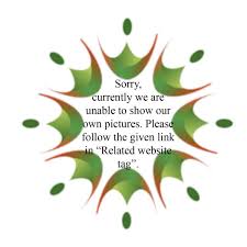 Image result for Ellipanthus