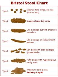 the bristol stool chart abc news australian broadcasting