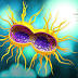 Study finds STDs on the rise