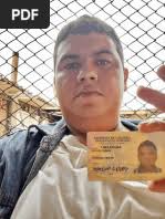 Plantilla Registro Diario Vacunacion Digital