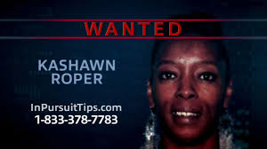 In Pursuit with John Walsh