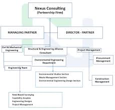 Organizational Structure Nexus Consulting
