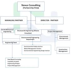 organizational structure nexus consulting