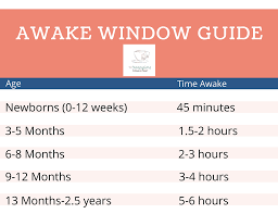 Navigating Early Morning Wake Ups - The Sleepytime Consultant