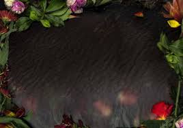 Danny wang, newport beach, california. Erin Wang Artist S Profile Agora Gallery