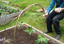 Fabriquer Une Serre Tunnel Pas Chere Pour Le Jardin En 2020 Jardins Mini Serre De Jardin Tunnel Jardin