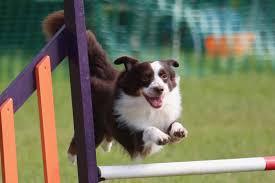 We did not find results for: Home