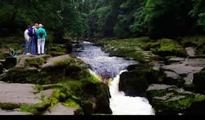 Hutan primer sudah menjadi tempat. Aliran Sungai Yang Indah Di Inggris Ternyata Salah Satu Tempat Paling Berbahaya Di Dunia