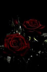 Aesthetic wallpapers only the best aesthetic wallpapers. Aesthetic Black And Red Rose Wallpaper Largest Wallpaper Portal
