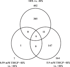 Gallstones are deposits called choleliths that are created in the. Organogermanium Suppresses Cell Death Due To Oxidative Stress In Normal Human Dermal Fibroblasts Scientific Reports