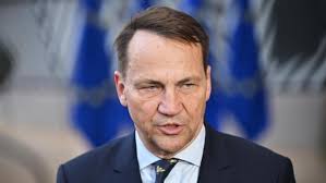 Artiklar av Therese Larsson Hultin