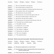 Cell Division Worksheet Answers Elegant Cell Division And Mitosis Worksheet Answers Worksheet In 2020 Division Worksheets Cell Division Cells Worksheet
