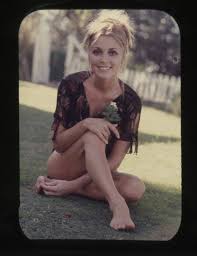Days later she would be murdered by the manson family cult. Sharon Tate Sharon26forever Twitter Sharon Tate Makeup Sharon Tate Tate