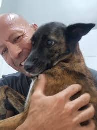 Please read the disclaimer from Friends of Animal Rescue's Board of  Directors. As always we appreciate your support.